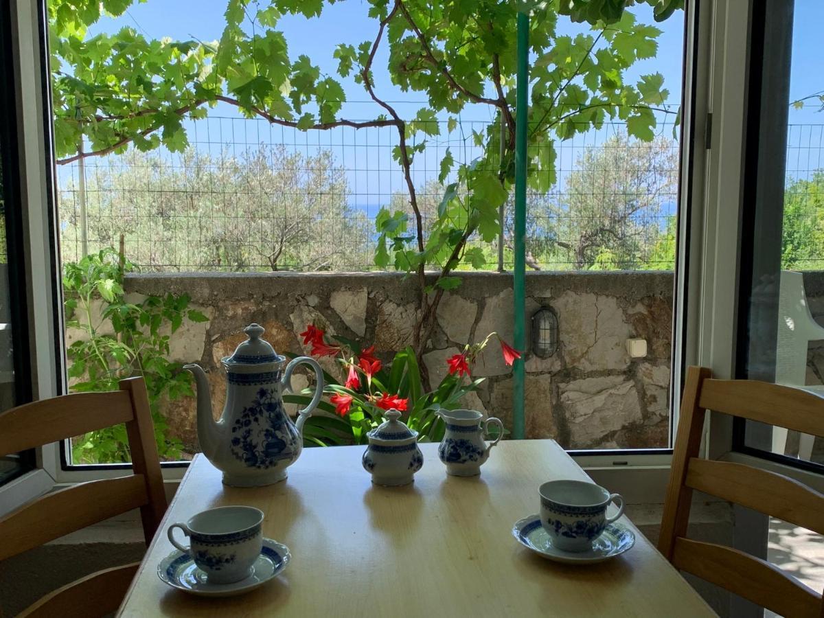 Petrovac Apartments Mirian מראה חיצוני תמונה