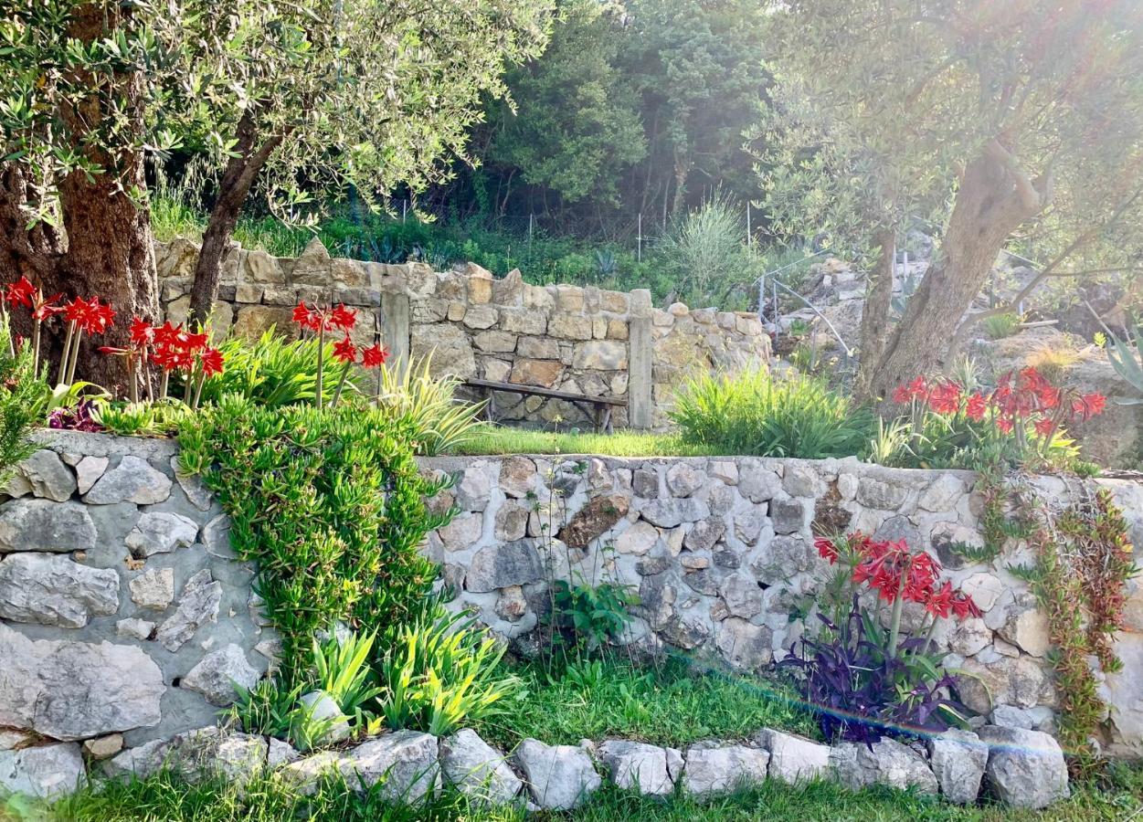 Petrovac Apartments Mirian מראה חיצוני תמונה