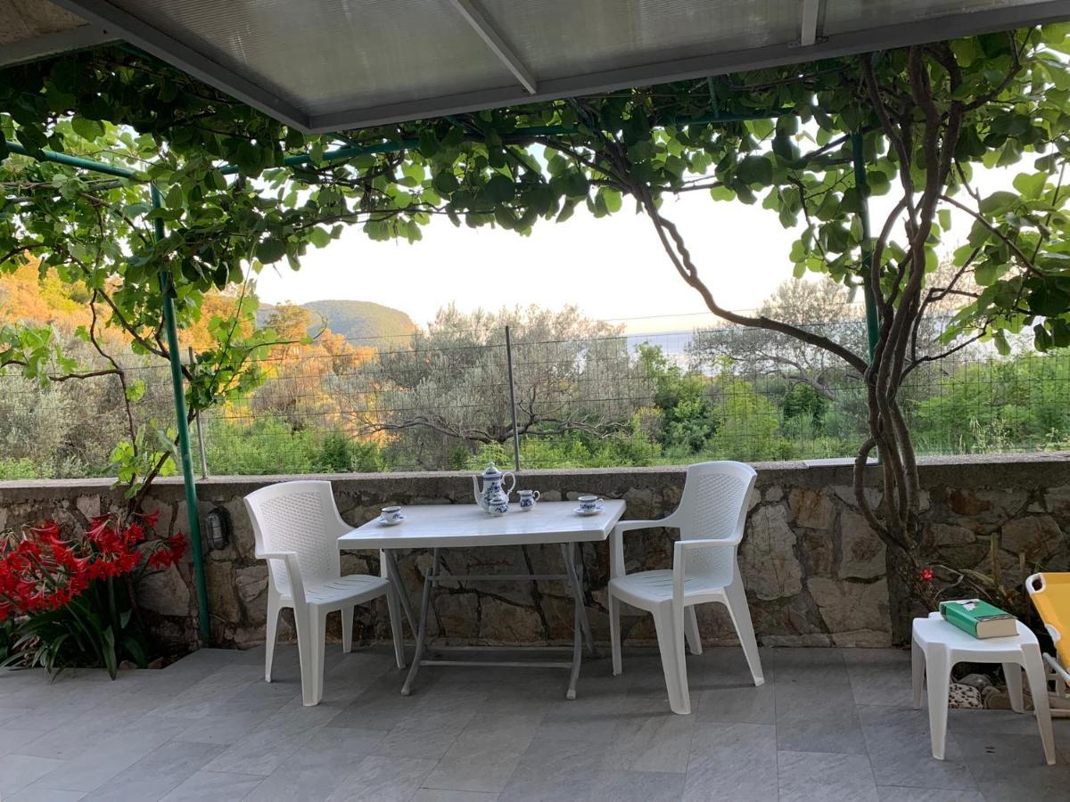 Petrovac Apartments Mirian מראה חיצוני תמונה