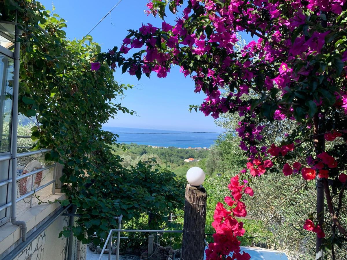 Petrovac Apartments Mirian מראה חיצוני תמונה