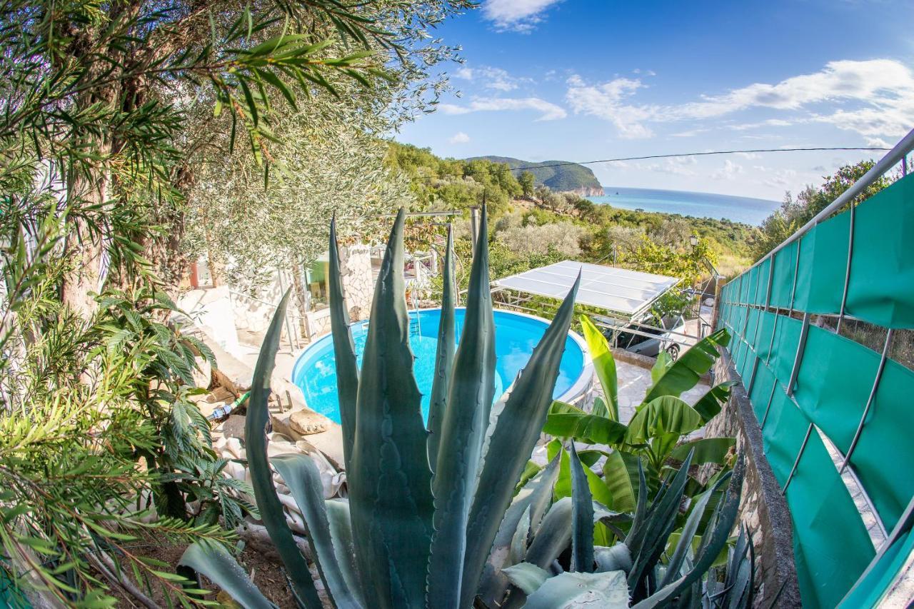 Petrovac Apartments Mirian מראה חיצוני תמונה