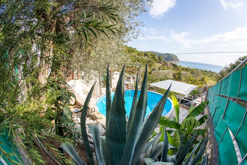 Petrovac Apartments Mirian מראה חיצוני תמונה