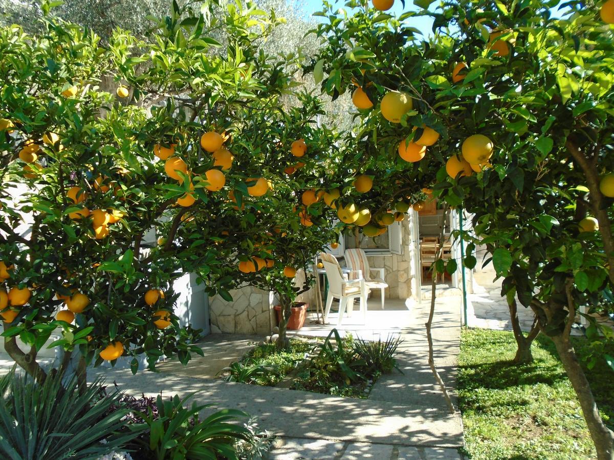 Petrovac Apartments Mirian מראה חיצוני תמונה